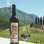 Agritur Casteller Çiftlik konaklama Trento