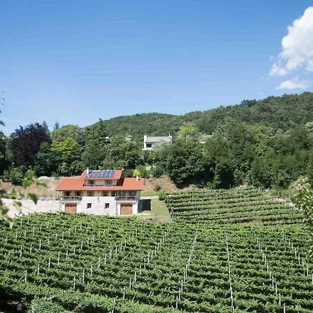 Agritur Casteller Lantgård Trento