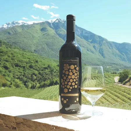 Agritur Casteller مزرعة للإقامة ترينتو