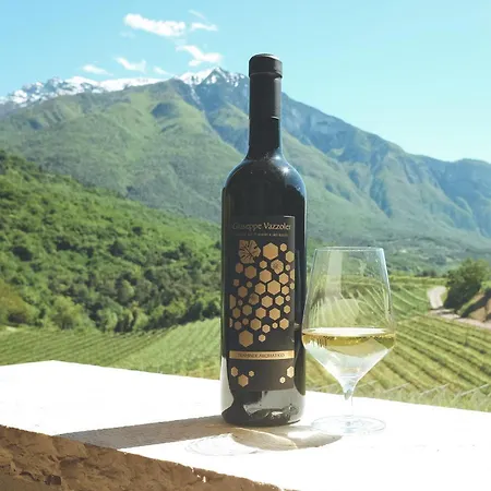 Agritur Casteller Alloggio per agriturismo Trento